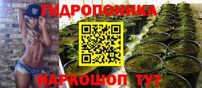 стафф Обнинск