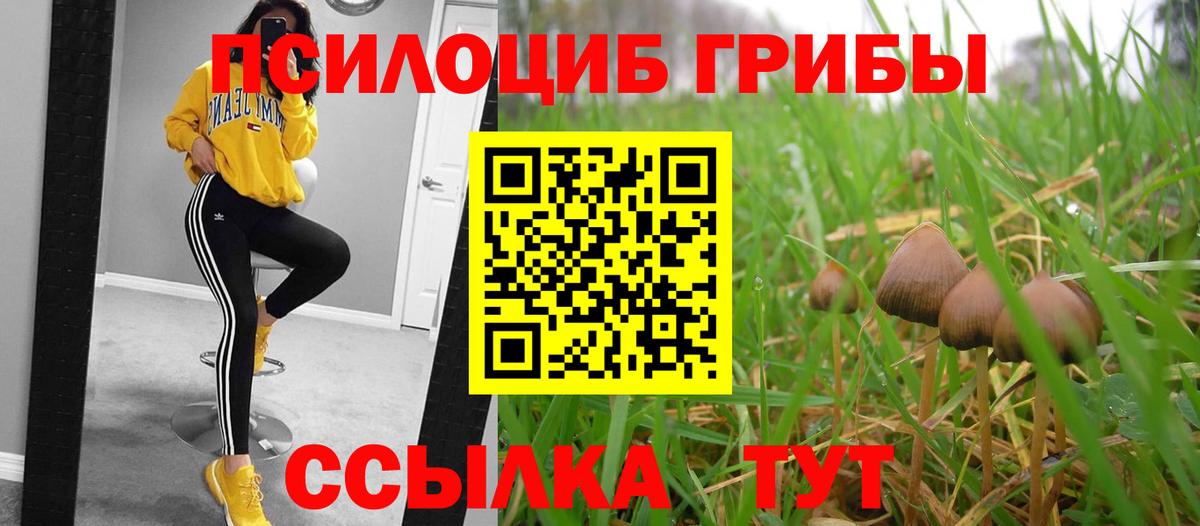 купить наркоту  Галлюциногенные грибы GOLDEN TEACHER  Вход с VPN  Унеча 